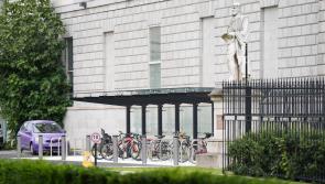 OPW chairman says cost of Leinster House bike shed was 'completely not acceptable'