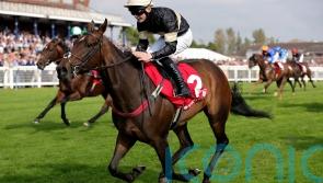 Craig Lidster contemplates next step for Alfa Kellenic