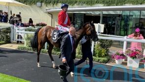 Chancellor plans up in the air following slight setback