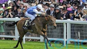 Goldikova honoured with Hall of Fame entry