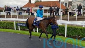 The Waco Kid powers to Tattersalls triumph