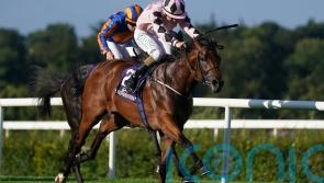 Harrington expecting Hotazhell to make Beresford mark