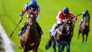 Bubbling powers home for convincing Rockfel victory