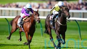 Wimbledon Hawkeye on the mark with Royal Lodge strike