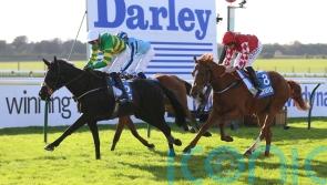 The Shunter set to defend Cesarewitch title