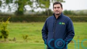 Kilkenny farmer says small Budget tweaks &lsquo;not enough to address big problems&rsquo;