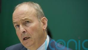 Ireland cannot unilaterally withdraw from Lebanon peacekeeping duties &ndash; Martin