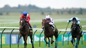 Havlin thrilled to be partnering Inspiral in Chariot race