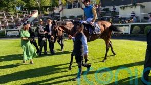 Walker hoping English Oak can leave Ascot rivals trailing