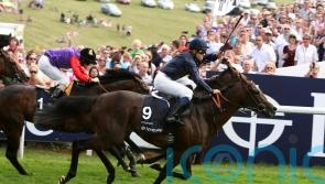 Mickael Barzalona appointed number one rider for the Aga Khan