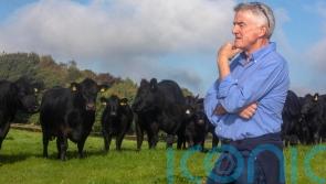 Michael O&rsquo;Leary &lsquo;astonished&rsquo; by green power of his farm&rsquo;s solar panels