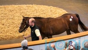 Joorabchian swoops for Frankel yearlings to make waves at Tattersalls