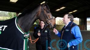 Constitution Hill &lsquo;in terrific form&rsquo; with Fighting Fifth return in sight