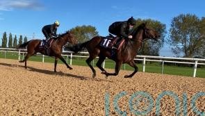 Big Evs prepares for Breeders&rsquo; Cup bid with Southwell gallop