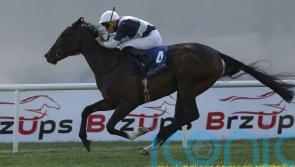 Dreamy opportunity for Marquand at Newmarket