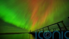 Skygazers treated to Northern Lights show &ndash; with more to come, experts say