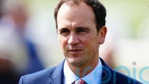 Invictus Gold in the hunt for Rockingham honours