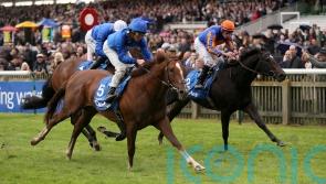 Shadow Of Light storms home to shade tight Dewhurst tussle