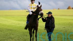 Alphonse Le Grande Cesarewitch joy may turn to tears