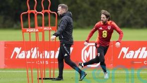 Craig Bellamy says &lsquo;romantic&rsquo; Montenegro return for Joe Allen would be a gamble