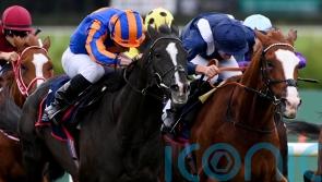 Haggas vows Ascot ground will not derail Economics challenge