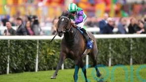 Vadream and Shoemark ready to shine in Champions Sprint