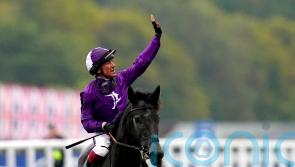 King Of Steel retired to stud in Ireland