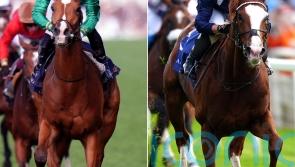 Calandagan and Economics primed for Champion Stakes battle