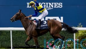 Goliath warms up for Japan Cup by seeing off Hamish in Paris