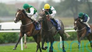 Williams has high hopes for Aqwaam next year