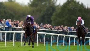 Tuscan Hills too good for Silver Tankard rivals