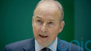 &lsquo;Challenging&rsquo; to pass Occupied Territories Bill before Irish election