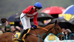 Envoi Allen ready for Down Royal return