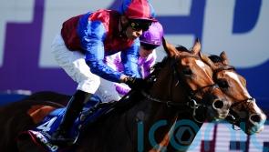 Jan Brueghel out of Melbourne Cup after failed vet check