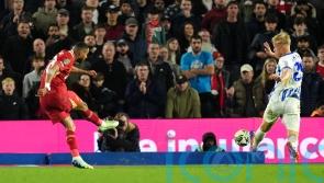 Cody Gakpo scores twice as Liverpool hold on to beat Brighton