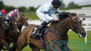 Still Believing &ndash; Highclere hoping this is filly&rsquo;s moment to shine