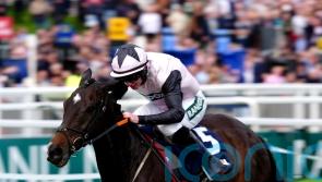 Elliott looking forward to another good campaign with Gerri Colombe