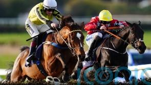 Liam shows he has the spirit to match his Swagger