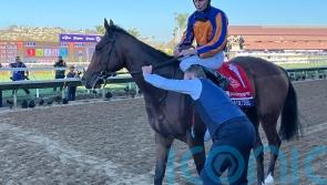 Lake Victoria sweeps aside Breeders&rsquo; Cup rivals