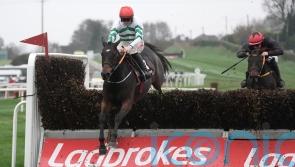 Found A Fifty gives weight and a beating to Down Royal rivals