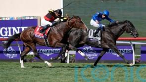 Rebel&rsquo;s Romance is Turf king again for Appleby and Buick