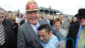 Stoute stars include Classic winners, globetrotting greats and even a Champion Hurdle hero