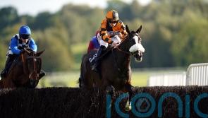 Lord Accord chasing Badger Beer gold again at Wincanton