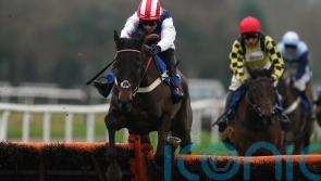 Bowtogreatness delights Redknapp with Newbury success