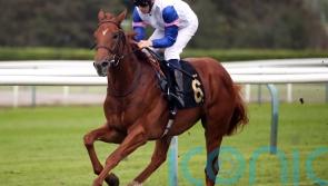 Valvano backed to show true worth in November Handicap