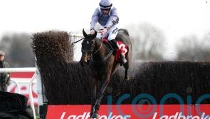 Il Est Francais to continue King George preparations at Auteuil