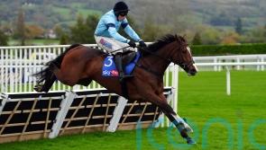 Valgrand and Potters Charm meet in tantalising Cheltenham clash