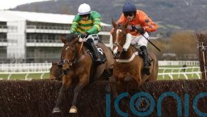 In Excelsis Deo primed to chase Paddy Power Gold Cup gold