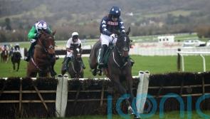 O&rsquo;Brien: Handicap mark for Dysart Enos means we have to give it a go