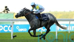 Varian hoping Charyn can be big in Japan on farewell appearance